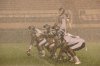 IMG_9978-small.jpg IMG_9978-small.jpg