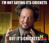 im-not-saying-its-crickets-but-its-crickets-thumb.jpg