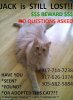 article-0-0E7D2A0000000578-168_468x636.jpg article-0-0E7D2A0000000578-168_468x636.jpg