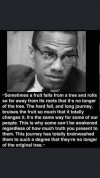 FB_IMG_1605873401622.jpg