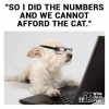1609181895758.png