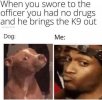 1E4C9EDE-4EE2-41CF-845F-F742F0EC4758.jpeg