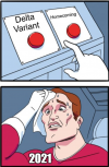 1628729210033.png