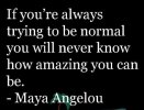 normal-if-youre-always-trying-to-be-normal-yo.jpg