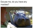 4FF93BC7-B645-4172-ABCC-976B1C9BB560.jpeg