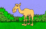 97536155216936781136.gif