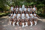 J-Settes 2018-2019.jpg