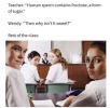 1666216690299.png