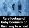 1666445902411.png