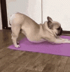 200.gif 200.gif