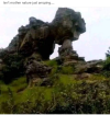 1676399705699.png
