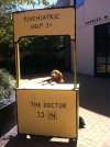 Dog.jpg