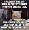 1685368172634.png