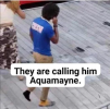 1691419633534.png