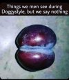IMG_8665.jpeg