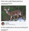 1697819160750.png