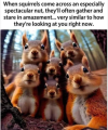 1702162210040.png