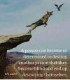 Dog.jpg