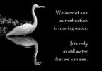 Water.jpg