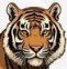 Tiger.jpg Tiger.jpg