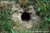 GR-hole.jpg