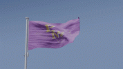 1778689578703.gif