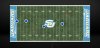 Southern Jaguars new turf.jpg
