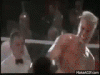 image.gif