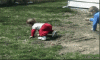 image.gif image.gif