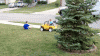 image.gif image.gif