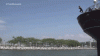 CC951015-2D18-42E8-8EDF-5C862093C284.gif