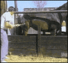 E865F80D-2FB3-4FB9-9AAB-49CDD94DF4F7.gif