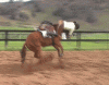1432CA03-E2DD-48DD-82A5-654A9738335F.gif