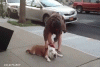 Resized_sdgws.gif