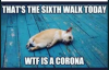 1586662158794.png