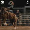 4B2D4D93-AAA0-4B55-B8AB-0DD3B8EB93E5.gif