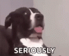 1599778688286.gif