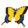 blaquebuterfly