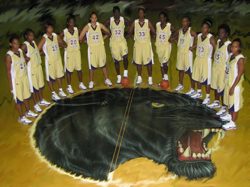 Lady Panthers