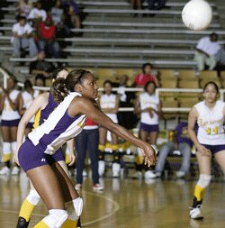 PVAMvbone
