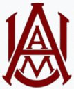 aamu.thumbnail.gif