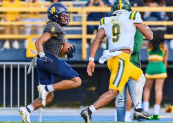 Ultimate HBCU Sports Division I Top 10 football poll — Week 10