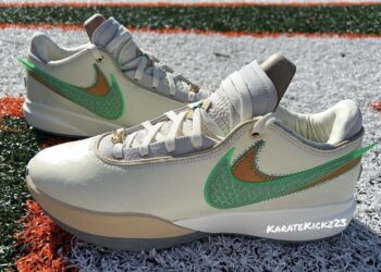 lebronfamu2