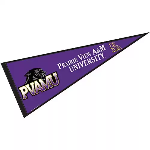 College Flags and Banners Co. PVAMU Panthers Pennant Full Size Felt