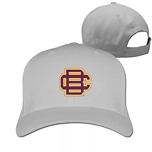 Bethune-Cookman Wildcats Secondary Logo Baseball Hat