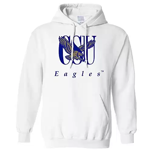 NCAA Coppin State Eagles Long Sleeve Hoodie, Medium, White