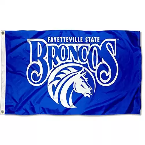 FSU Broncos College Flag
