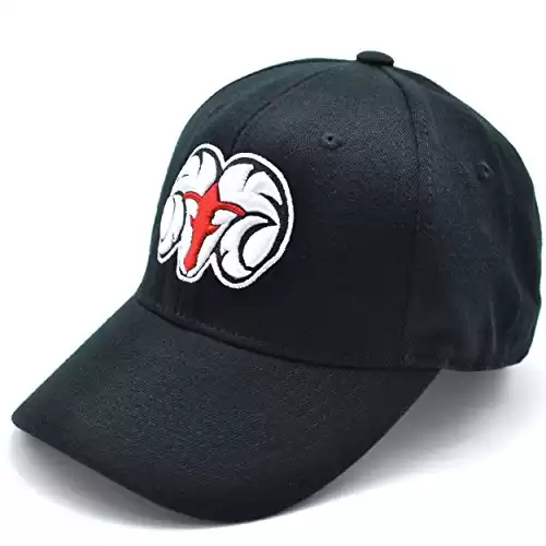 Top of the World NCAA-Small Schools- Premium Collection Adult One Fit Hat-Size-ONEFIT-Winston-Salem State Rams