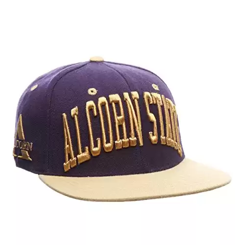 Alcorn State Braves Super Star 32/5 Adjustable Snapback Cap - NCAA Flat Bill Zephyr Baseball Hat