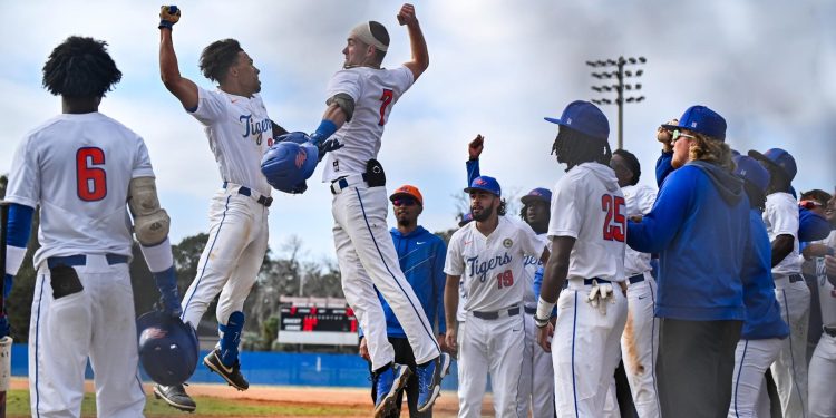 savannah state baseball